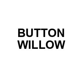 Button Willow